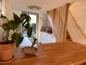 Appartements Triplex Le Petit Cocon : photos des chambres