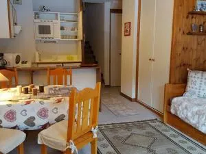Studio Skis aux Pieds, Sud, Parking, Animaux Acceptés - FR-1-513-43
