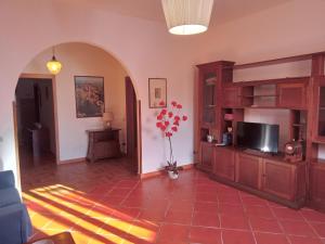 Casa gatta rossa orange cat house