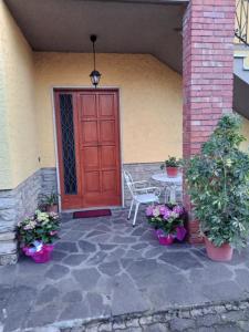 Casa gatta rossa orange cat house