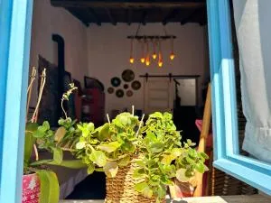 Atelier 20th - 阿尔贝诺阿