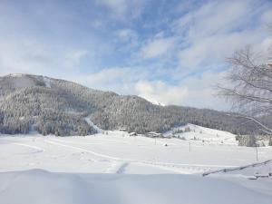 Ferienhaus Schäfer - Apartments - Wintersports - Family holiday - Holiday with your dog - Rural & Scenic