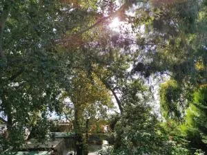 Σπίτι στην ακροθαλασσιά Casa al mare - 科罗皮