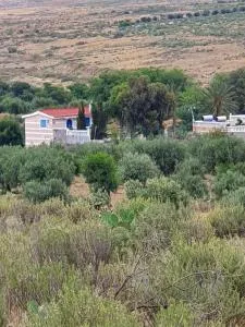 EL Golla Motel - Pichon