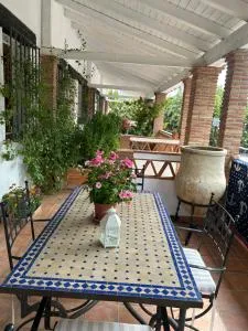 El MANCHÓN DEL CORTIJUELO - Iznalloz