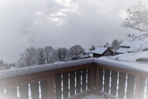 Revier Sytli im Höcheli