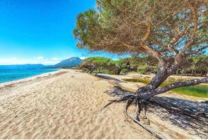 Casa Su Barone 2 img22