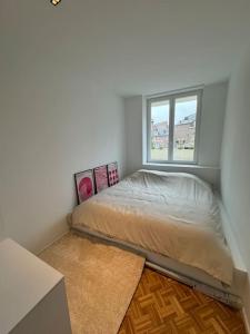 Appartement neuf en plein centre