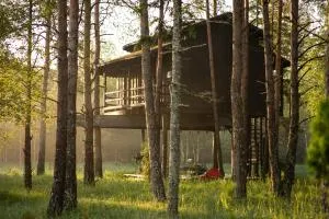 Sambliku Treehouse - Üksnurme