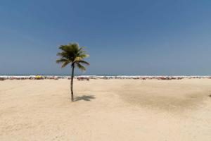 Apto a 150m da Praia da Aviacao na Praia Grande