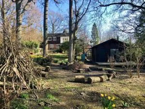 Mid-Century Modern - Brede