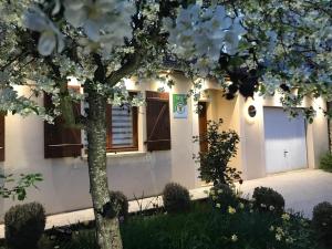 Maisons de vacances La Loupiote - Jacuzzi compris SANS supplement ! : photos des chambres