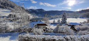 Villas Chalet 6 a 8 pers au bord du lac : photos des chambres