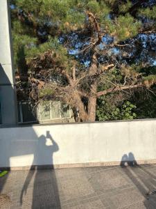 Генерала вия чаир