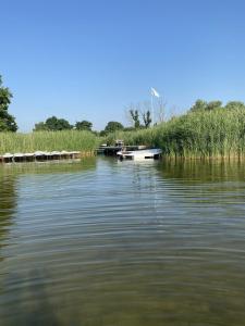 Ferienwohnung Seeblick