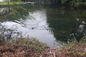 Gîte Uros Terrasse avec spa