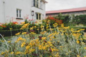 Ballyknocken Milking Parlour Self Catering Apartment