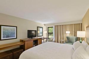 King Room with King Bed - Non-Smoking room in Hampton Inn Mount Dora