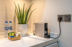 Modern studio near the beach