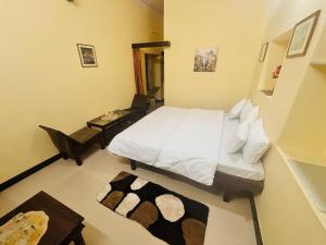 Liliyan Palace Guest house