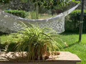 Cottage Dell' Ulivo - 卡尔塔吉罗