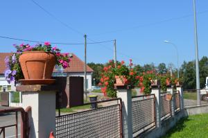Maisons d'hotes Chez Therese et Marguerite : photos des chambres