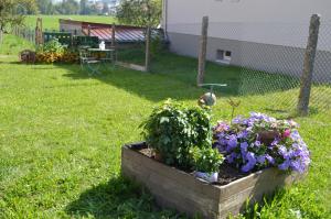 Maisons d'hotes Chez Therese et Marguerite : photos des chambres