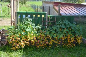 Maisons d'hotes Chez Therese et Marguerite : photos des chambres