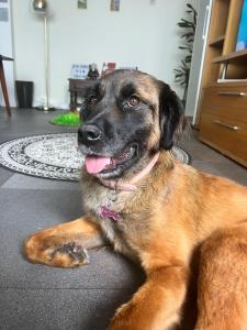 Vagabond Mermaid Guesthouse