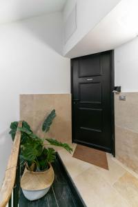 Residence Serbie - Appartements design et climatises en centre ville : photos des chambres