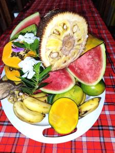 Rafiki Backpackers-hostel