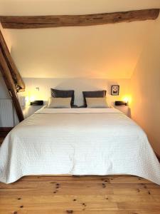 B&B / Chambres d'hotes Le Moulin d Olivet : Chambre Double