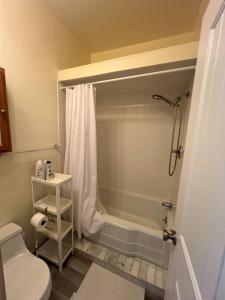 Large Studio LIGHT & VIEWS - Beautiful with Deck - Message Direct