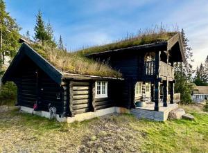Cozy log cabin in Hafjell ski in out and sauna