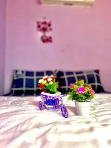 ลูกดกแน่โฮมสเตย์ ที่พักเกาะลิบง - Ko Lao Liang