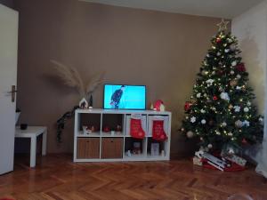 Ohana Holiday House