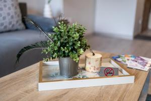 Modern 1BR Comfort in Oborishte with Private Parking