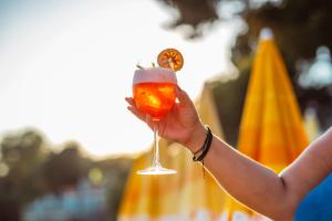 Sardunya Andifli Otel