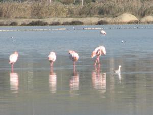 Villabeachcity Guesthouse img13