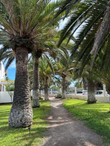 Hercules 2 bedroom Apartment, Costa del Silencio