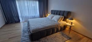Free SPA Pirin lodge cosy apartment
