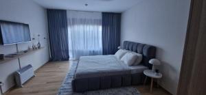 Free SPA Pirin lodge cosy apartment