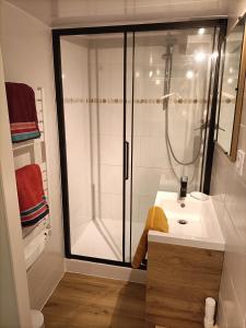 Appartements SPA privatif a 50m de la plage - Studio : photos des chambres