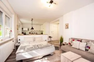 Nanis Place in Sarajevo - Koševo