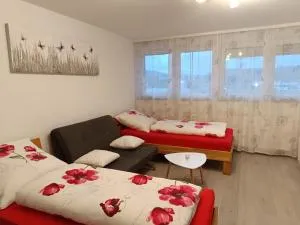 Apartment Lahr 50 - 施瓦瑙