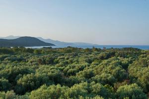 Istron Maisonettes with private pool