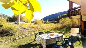 Résidence Le Palatin - APPARTEMENT EN REZ DE CHAUSSEE AU PIED DES PISTES - 4/6 PERS MAE-9021 - 佩尔武