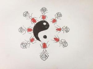 Escarabajo Rojo La Casa Principal