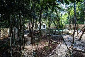 Escarabajo Rojo La Casa Principal