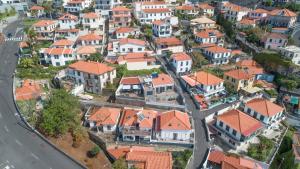 Flowers island house 5